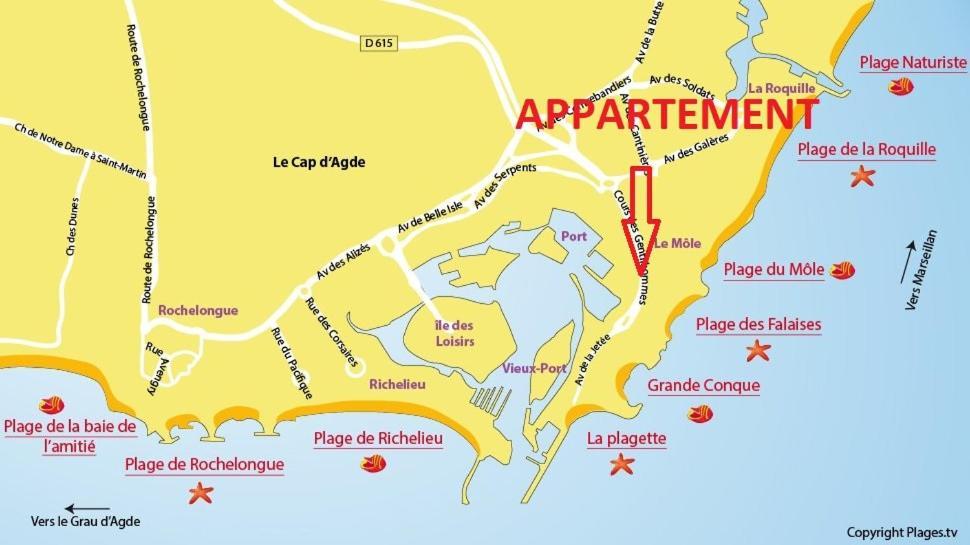 Cap D'Agde 300M Plage Du Mole,Vue Port,Parking,Lave Linge,Piscine Apartment Exterior photo